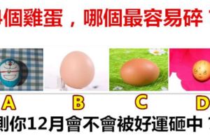 4個雞蛋，哪個最容易碎？測你12月會不會被好運砸中？