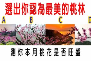 心理測試：選出你認為最美的桃林，測你本月桃花是否旺盛