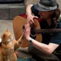 英國流浪漢救了一隻貓，從此卻登上人生巔峰，擁有上百萬粉絲！