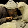 老奶奶跟小白貓互相陪伴的溫馨情景感動了無數人，但最近孫女卻公開了一個隱瞞1年的沉重消息…
