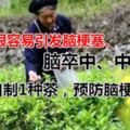 農民自製1種茶，預防腦梗塞比600元1顆的安宮牛黃丸好，製作簡單