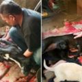 狗媽媽為了守護7隻小狗瀕死撐了兩天，等到救難人員趕到時…牠「最後一刻斷氣」的模樣太催淚了！