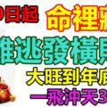 7月19日起命裡藏金，難逃發橫財，大旺到年底財運一飛沖天3生肖