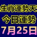 十二生肖運勢天天看，今日運勢：7月25日