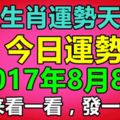 十二生肖運勢天天看，今日運勢：2017年8月8日