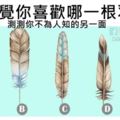 【心理測試】憑直覺你喜歡哪一根羽毛？測測你不為人知的另一面