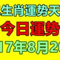 十二生肖運勢天天看，今日運勢：8月20日