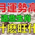 九月運勢高漲，做什麼旺什麼的生肖