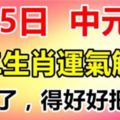 9月5日，農歷七月十五，中元節，十二生肖喜忌及運氣解讀