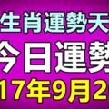 十二生肖運勢天天看，今日運勢：9月20日