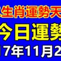 十二生肖運勢天天看，今日運勢：11月23日