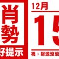 生肖運勢，天天好提示（12月15日）