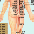 打通膀胱經百病不易生