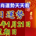 十二生肖運勢天天看，今日運勢：2018年1月21日