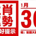 生肖運勢，天天好提示（1月30日）