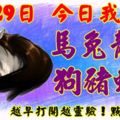 3月29日，今日我最旺！馬兔龍猴狗豬蛇牛！【33388】越早打開越靈驗！點個贊吧！