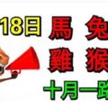 10月18日生肖運勢_馬、兔、豬大吉