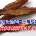 丹參能夠調節血脂，降尿酸嗎？丹參傳統藥用功效介紹