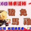 11月26日時來運轉一路發，豬兔羊馬雞猴，88秒內打開，好運跟著來『16888』