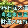 11月28日起大運將至，這5大生肖將迎來吉星入命，從此財運大旺特旺！