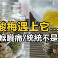 【自家酸梅橘子】喉嚨痛，咳嗽統統不是問題