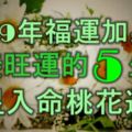 2019年的福運加身，迎接旺運的5大生肖，吉星入命，桃花運旺！