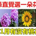 趣味測試：憑直覺選一朵花，測你1月有沒有桃花運？