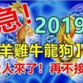 2019年，屬【羊雞牛龍狗】的人，貴人扶吉星照