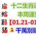 十二生肖運勢：本周運勢【01.21-01.27】千萬別錯失！