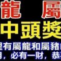 屬龍、屬豬的人：二月份必有一財！家裡有這兩個生肖的恭喜了