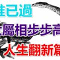 大難已過，4大屬相步步高升，人生翻新篇