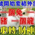 3月2號開始要格外留心了，一個兔，一個雞，一個豬，一個龍~必須轉啊