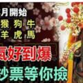 這8生肖，本月開始窮日子一去不復返。