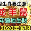 2019年遍地生財，2020年家財萬貫，身邊有的也跟著沾福氣