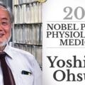 日本諾貝爾獎得主發現身體細胞會「自體吞噬」！適時「餓肚子」反而讓身體更健康！