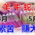 收錢收到累！四月勞累，五月賺錢賺到沒時間花的生肖~