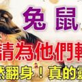 你家有生肖兔，鼠，狗嗎？9月份開始翻身暴富，多財多福