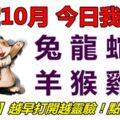 17號10月，今日我最旺！兔龍蛇馬羊猴雞狗！【17088】越早打開越靈驗！點個讚吧！