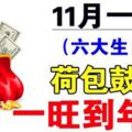 一旺到年尾！熬到11月「運勢回升」再也不缺錢的六個生肖