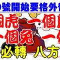 4月10號開始要格外留心了，一個虎，一個鼠，一個兔，一個猴，必須轉啊