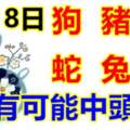 5月18日生肖運勢_狗、豬、羊大吉