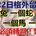 5月22日要格外留心了，一個兔，一個蛇，一個馬，一個虎必轉啊