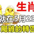 就在5月23日，家有屬雞的轉告下