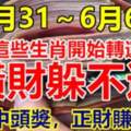 5月31日～6月6日開始轉運，橫財躲不過的生肖