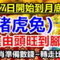 8月27日開始到月底（豬虎兔）財運由頭旺到腳