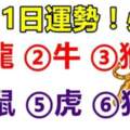 10月1日運勢_龍、牛、猴、鼠、虎、狗大吉