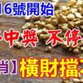 10月16號開始不停中獎，不停發財，橫財擋不住的生肖