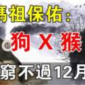 媽祖保佑（狗、X、猴、虎）註定窮不過12月底