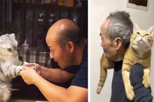 下班回家發現爸爸在跟貓撒嬌，這是當初說養貓就不認我的爸爸嗎...XD