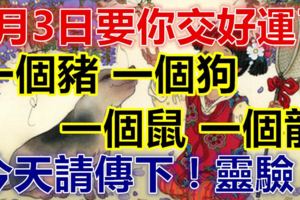 6月3日交好運，一個豬，一個狗，一個鼠，一個龍！